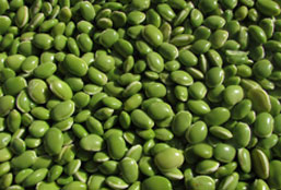 让您更省心的DDOS在线攻击平台