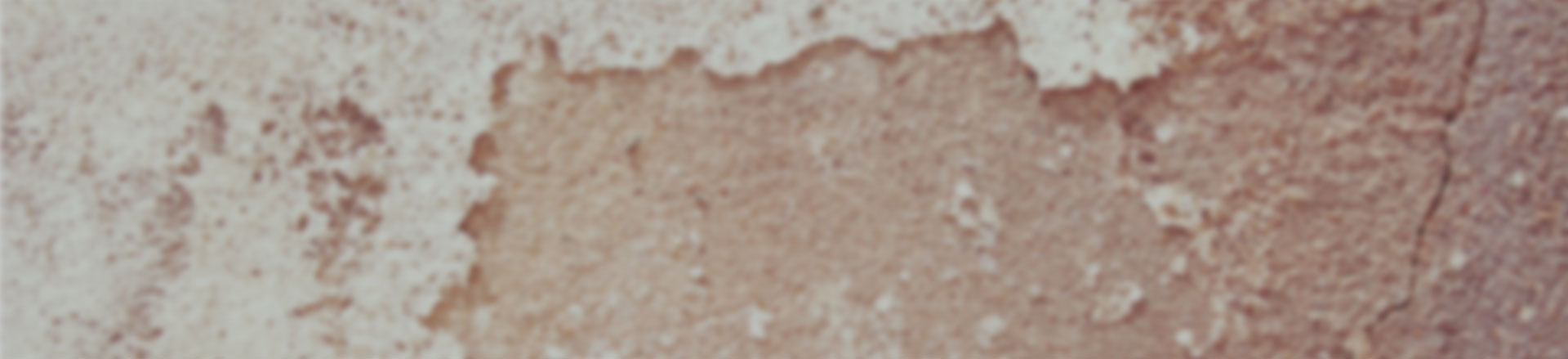 专业破解工具的ddos攻击